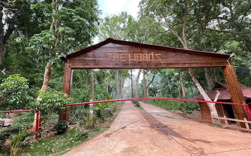 The Woods Resort entrance gate with a forest path beyond